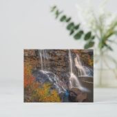 Blackwater Falls State Park | West Virginia Briefkaart (Staand voorkant)
