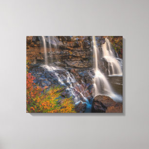 Blackwater Falls State Park   West Virginia Canvas Afdruk