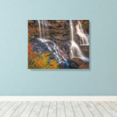 Blackwater Falls State Park | West Virginia Canvas Afdruk (Insitu (Houten vloer))