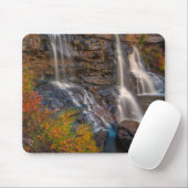Blackwater Falls State Park | West Virginia Muismat (Met muis)