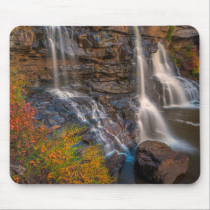 Blackwater Falls State Park West Virginia Muismat