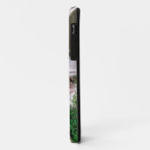 Blackwater Falls, West Virginia, landschappelijk, Case-Mate iPhone Case (Achterkant/links)