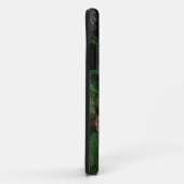 Blackwater Falls, West Virginia, landschappelijk, Case-Mate iPhone Case (Achterkant/rechts)