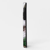 Blackwater Falls, West Virginia, landschappelijk, Case-Mate iPhone Case (Achterkant/links)