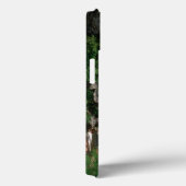 Blackwater Falls, West Virginia, landschappelijk, Case-Mate iPhone Case (Achterkant / Rechts)