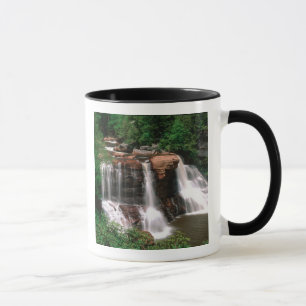 Blackwater Falls, West Virginia, landschappelijk, Mok