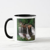 Blackwater Falls, West Virginia, landschappelijk, Mok (Links)
