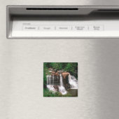 Blackwater Falls, West Virginia, landschappelijk s Magneet (Insitu (Vaatwasser))