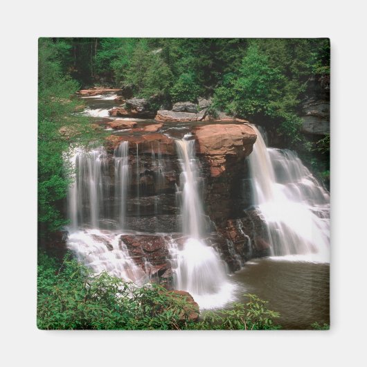 Blackwater Falls, West Virginia, landschappelijk s Magneet (Voorkant)