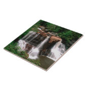 Blackwater Falls, West Virginia, landschappelijk, Tegeltje (Zijkant)