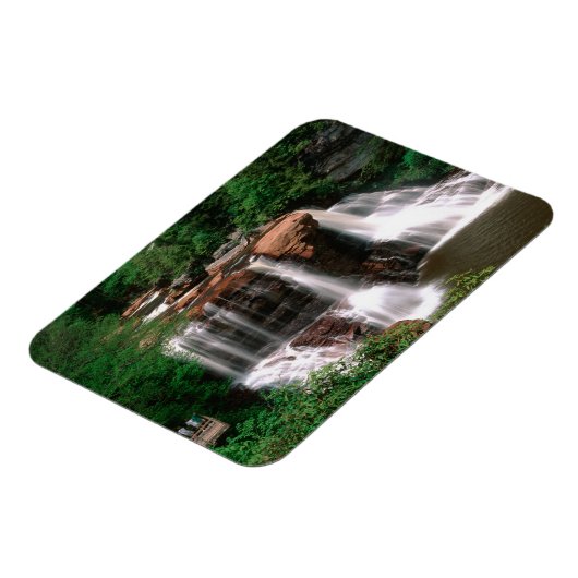 Blackwater Herfsten, West Virginia, schilderachtig Magneet (Linkerzijde)