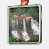 Blackwater Herfsten, West Virginia, schilderachtig Metalen Ornament (Links)