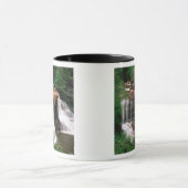 Blackwater Herfsten, West Virginia, schilderachtig Mok (Midden)