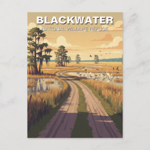 Blackwater National Wildlife Refuge in Maryland Briefkaart