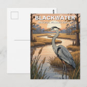 Blackwater National Wildlife Refuge in Maryland Briefkaart (Voorkant / Achterkant)