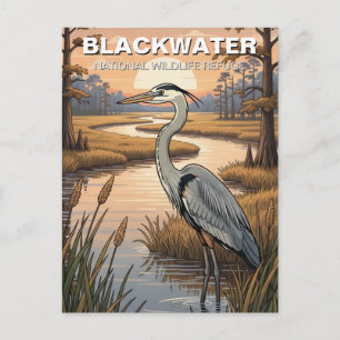 Blackwater National Wildlife Refuge in Maryland Briefkaart