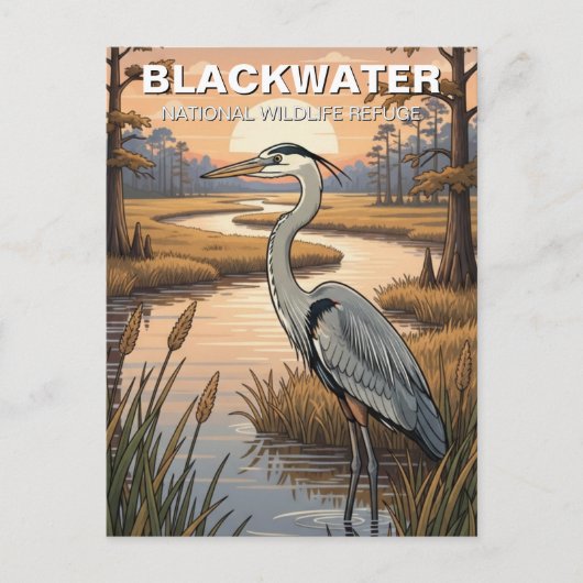 Blackwater National Wildlife Refuge in Maryland Briefkaart (Voorkant)