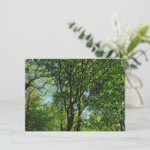 Blackweir Bossen, Bute Park, Cardiff Wales Kaart (Staand voorkant)