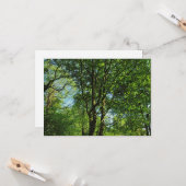 Blackweir Bossen, Bute Park, Cardiff Wales Kaart (Voorkant / Achterkant in situ)