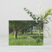 Blackweir Bossen, Bute Park, Cardiff Wales Kaart (Staand voorkant)