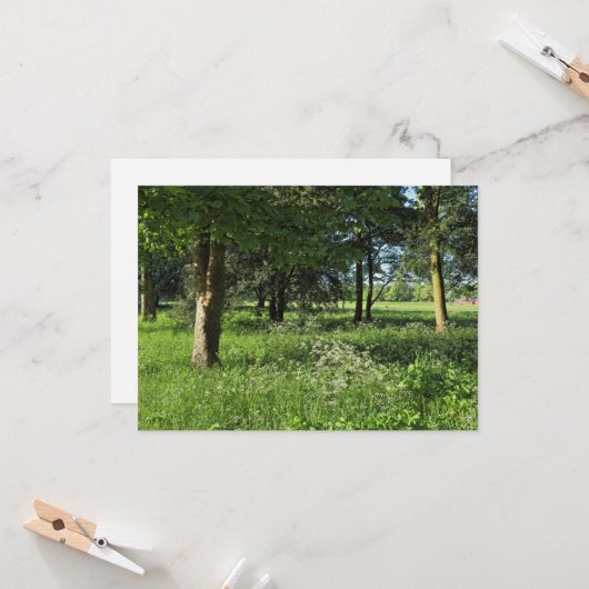 Blackweir Bossen, Bute Park, Cardiff Wales Kaart (Voorkant / Achterkant in situ)