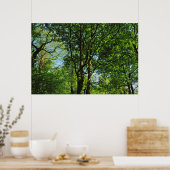 Blackweir Bossen, Bute Park, Cardiff Wales Poster (Keuken)