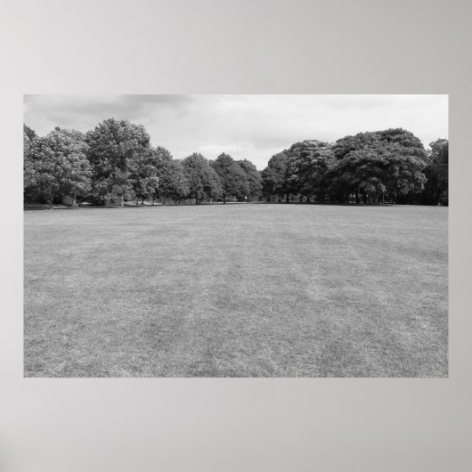 Blackweir Fields, Bute Park, Cardiff. (B&W) Poster (Voorkant)
