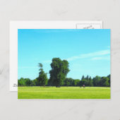 Blackweir Fields. Bute Park, Cardiff, Wales. Briefkaart (Voorkant / Achterkant)