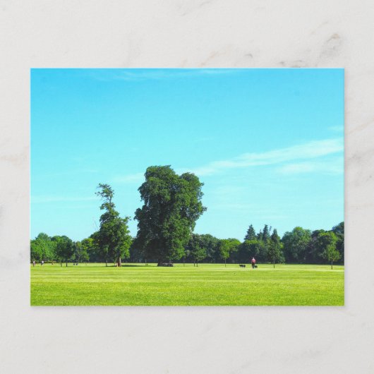 Blackweir Fields. Bute Park, Cardiff, Wales. Briefkaart (Voorkant)