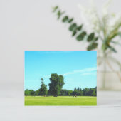 Blackweir Fields. Bute Park, Cardiff, Wales. Briefkaart (Staand voorkant)