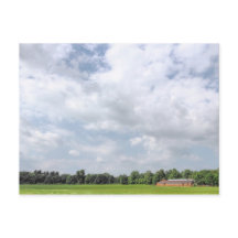 Blackweir Fields, Bute Park, Cardiff, Wales.