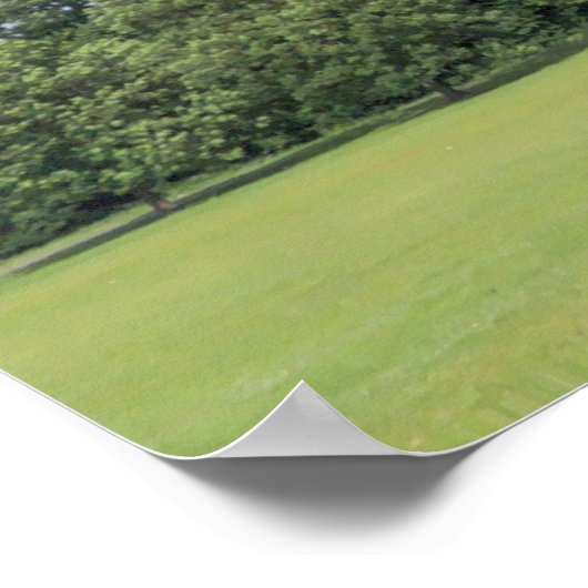 Blackweir Fields. Bute Park, Cardiff, Wales. Poster (Hoek)