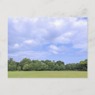Blackweir-velden. Bute Park, Cardiff, Wales. Briefkaart