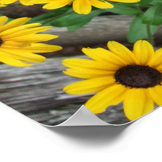 Blacte, vervormd Susan Poster/printgrens Poster (Hoek)