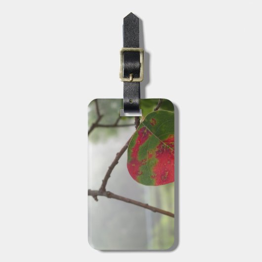 blad dat de rode Herfst in Florida verandert Bagagelabel (Voorkant verticaal)