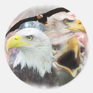 Blad Eagles Ronde Sticker