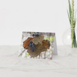 Blad en bessen van blauw - Blank Wenskaart Kaart