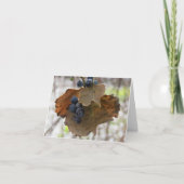 Blad en bessen van blauw - Blank Wenskaart Kaart (Voorkant)