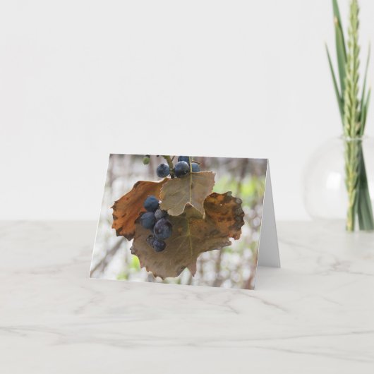 Blad en bessen van blauw - Blank Wenskaart Kaart (Voorkant)