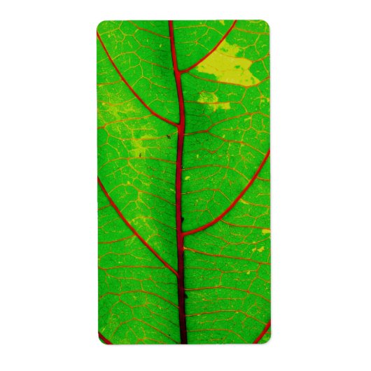 Blad Etiket (Voorkant)