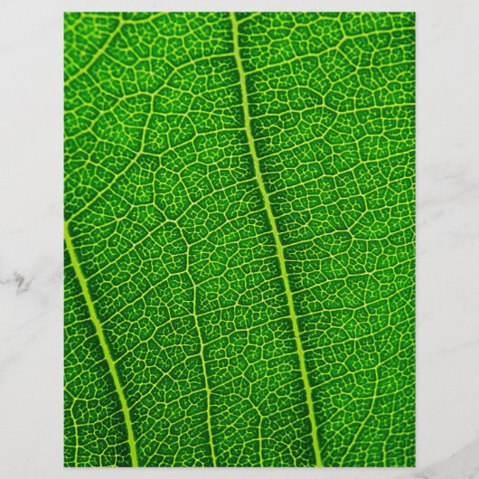 Blad Flyer (Voorkant)