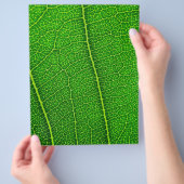 Blad Flyer (Hand)