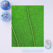 Blad Flyer (Enkel)