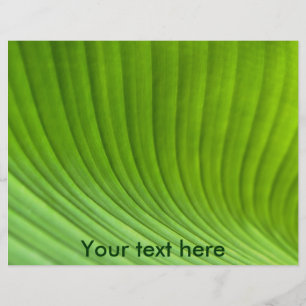 blad flyer