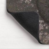 Blad fossiel muismat (Hoek)