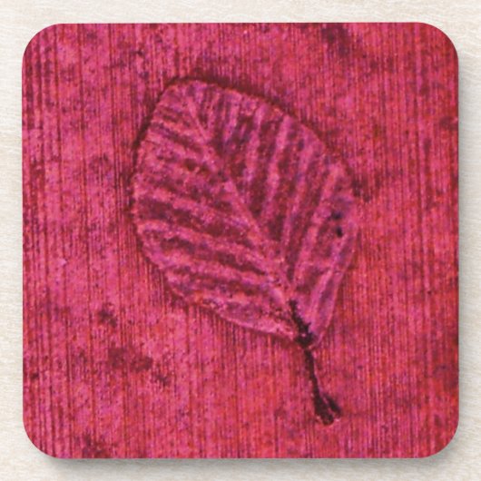 Blad Fossiel Onderzetter (Voorkant)