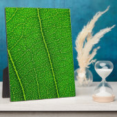 Blad Fotoplaat (Zijkant)