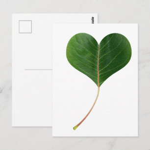 Blad hart briefkaart