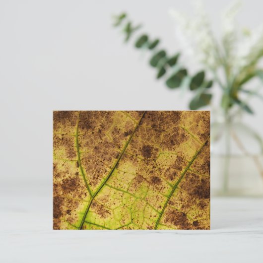 Blad - Macro Afbeelding Herfst herfstbladeren Briefkaart (Staand voorkant)
