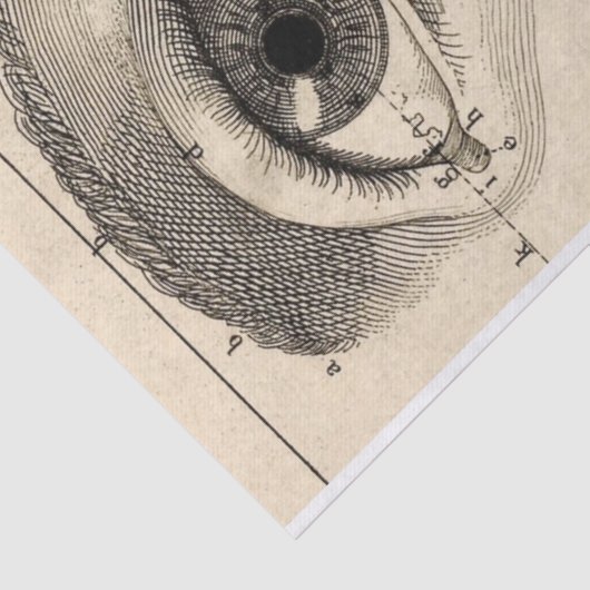 Blad met Junk Journal Anatomy Elements Tissuepapier (Detail)